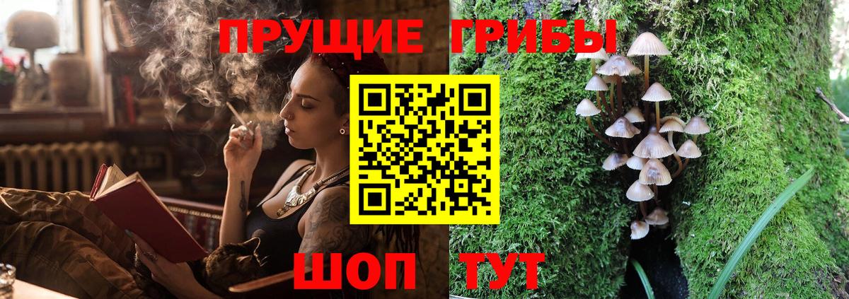 Псилоцибиновые грибы GOLDEN TEACHER Верхняя Пышма