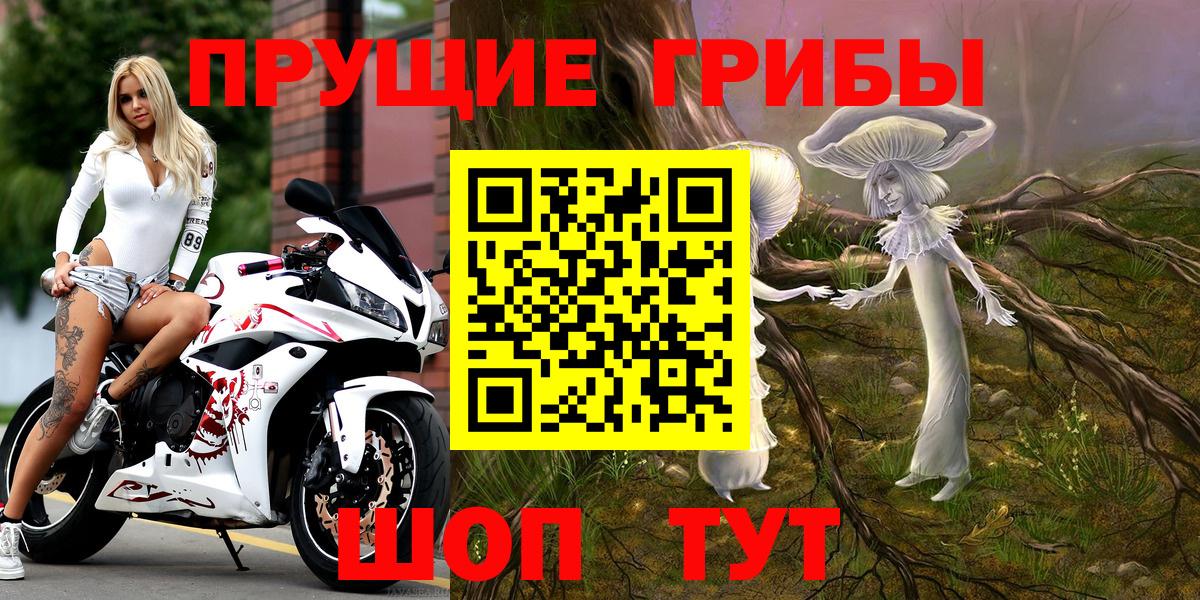 Псилоцибиновые грибы GOLDEN TEACHER  Вход с VPN  Верхняя Пышма 